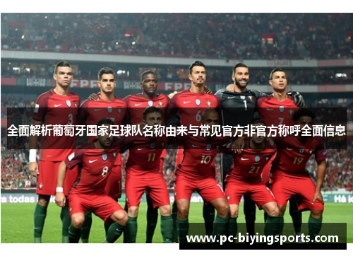 全面解析葡萄牙国家足球队名称由来与常见官方非官方称呼全面信息