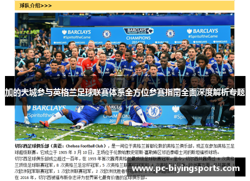 加的夫城参与英格兰足球联赛体系全方位参赛指南全面深度解析专题