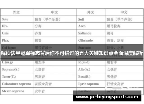 解读法甲冠军标志背后你不可错过的五大关键知识点全面深度解析 解读法甲冠军标志背后你不可错过的五大关键知识点全面深度解析